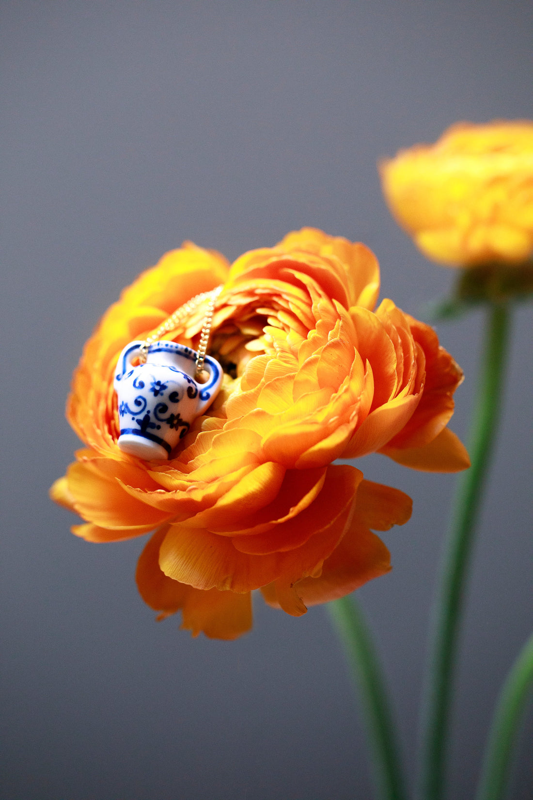 Lost in the journey Ready to go