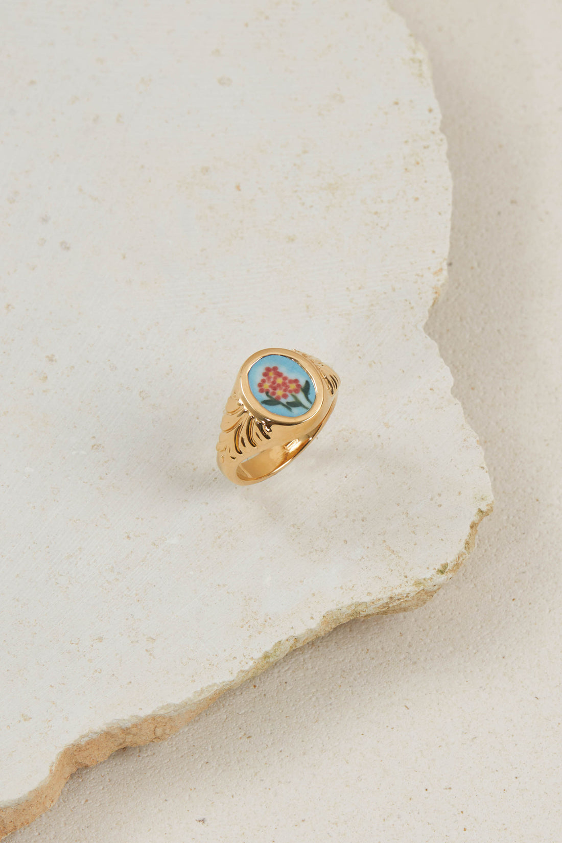 Our Garden Ready to go